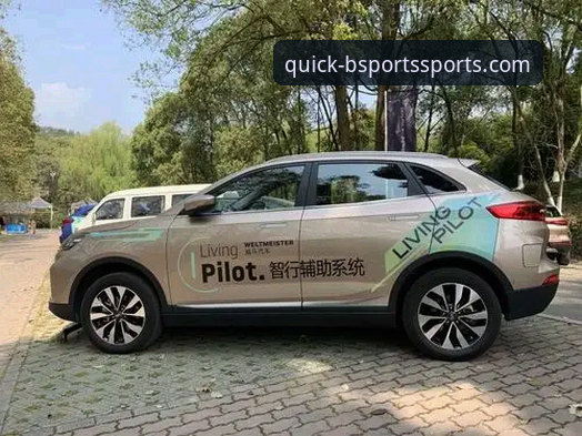 BSports平台安装不再难！老用户分享5个高效操作技巧